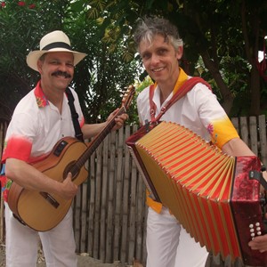 Muzikanten huren: zomers duo