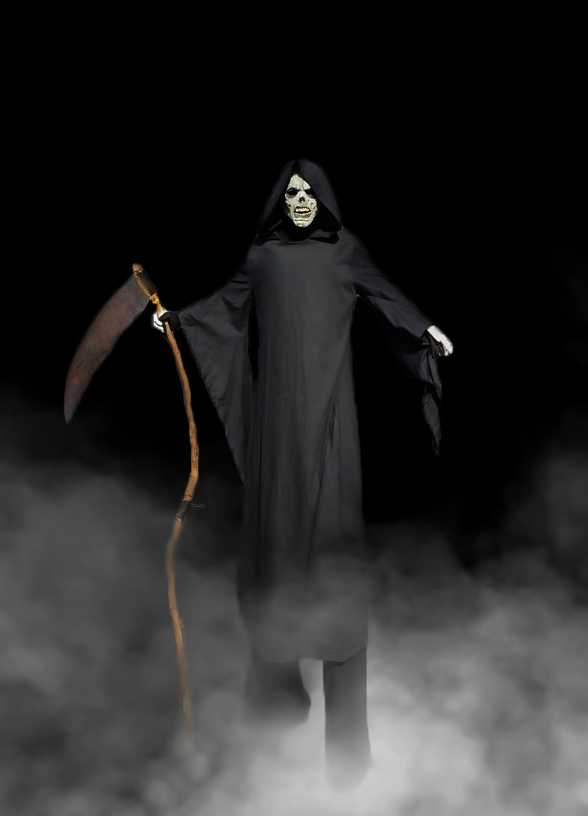 Nieuwe Halloween acts