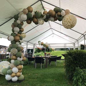 Organische ballonnenboog